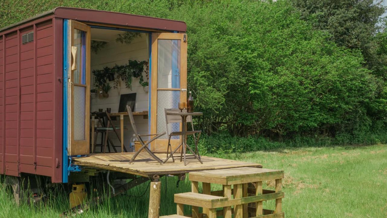 Quirky Vintage Horsebox Conversion With Stunning Views Of Ardingly Reservoir Balcombe Exterior photo